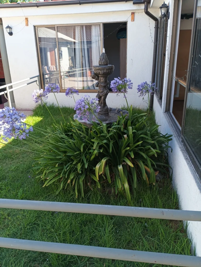 casa de reposo los naranjos en la cisterna 2